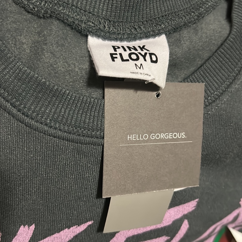 Women’s Pink Floyd Graphic sweatshirt color gray NWT - Picture 5 of 6